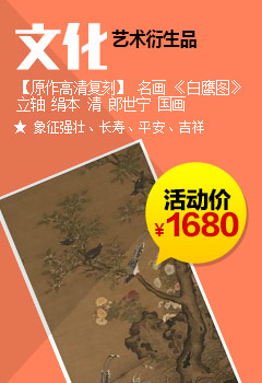 电视分会场